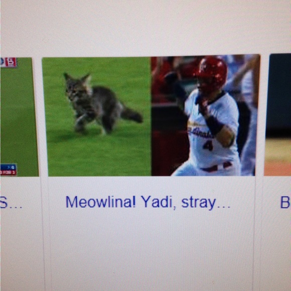 108 Stitches St. Louis Cardinals Rally Cat T-shirt Small - Picture 7 of 7